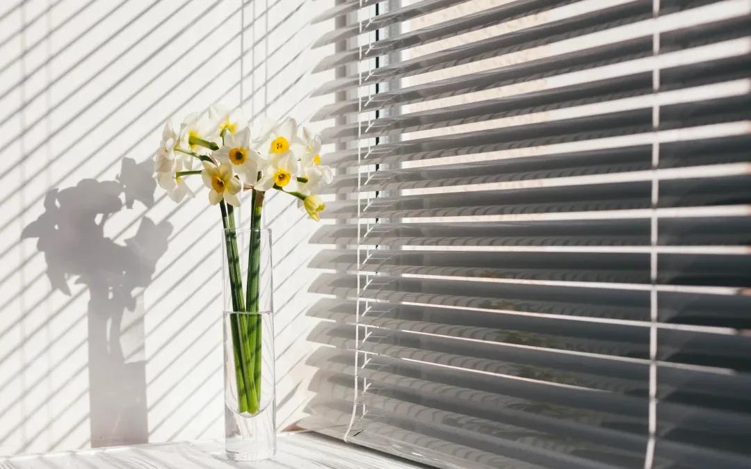 Window Treatment Company Lexington